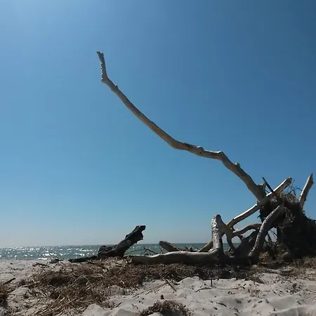 Leuchtturm - Heuser Lejlighed Prerow