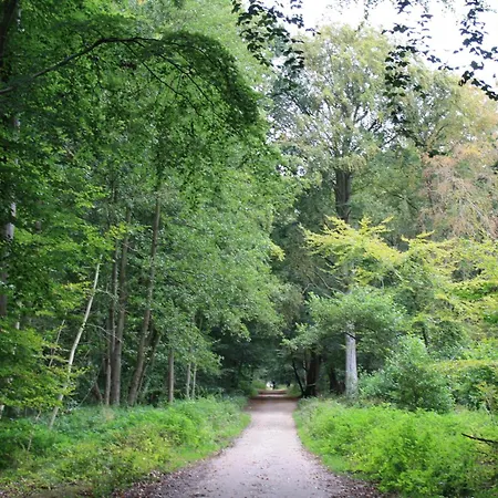 Leuchtturm - Heuser Prerow