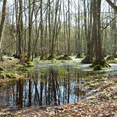Leuchtturm - Heuser Lejlighed Prerow