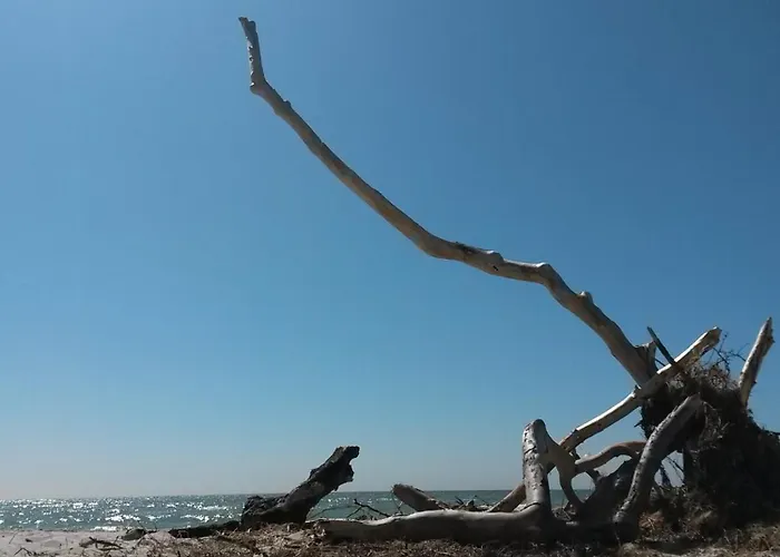 Leuchtturm - Heuser 아파트 프레로