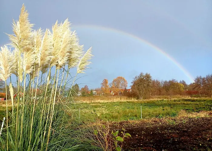 Leuchtturm - Heuser 프레로