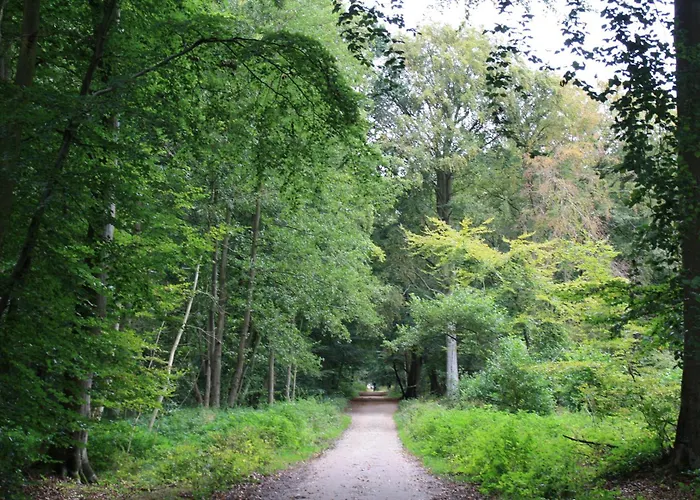 Leuchtturm - Heuser 프레로