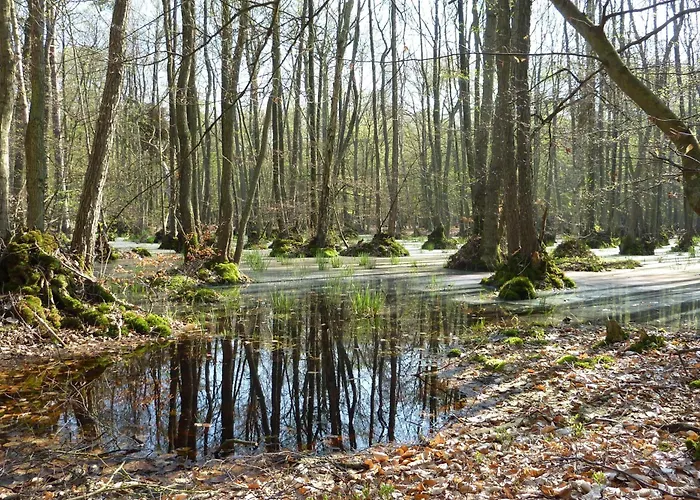Leuchtturm - Heuser 아파트 프레로